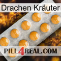 Drachen Kräuter levitra1